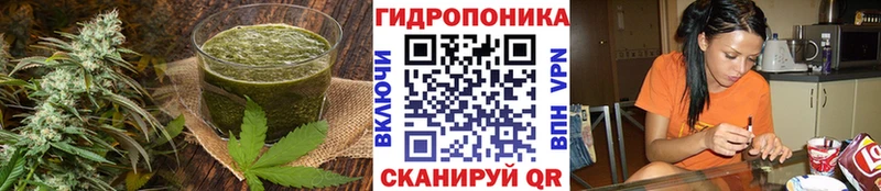 kraken как зайти  Октябрьск  Еда ТГК конопля 