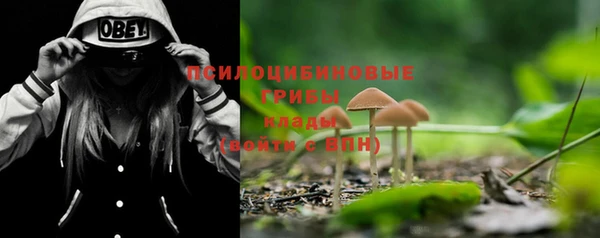 прущая мука Покров