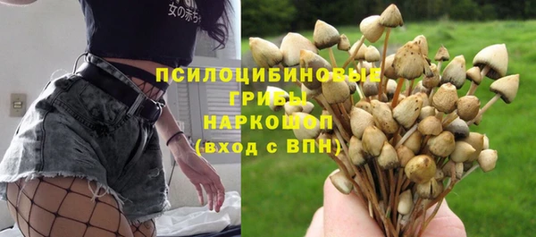 стаф Балабаново